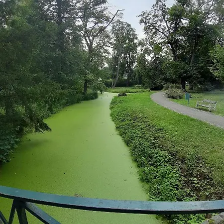 Utulny Apartament Veselí nad Moravou