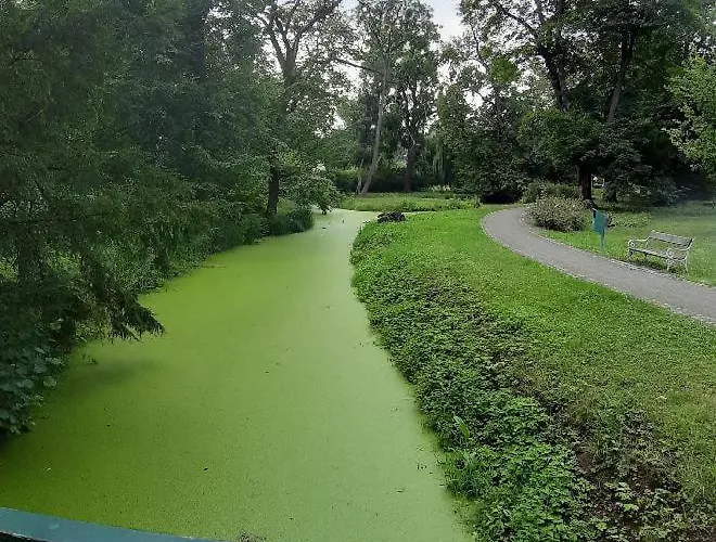 Utulny Daire Veselí nad Moravou